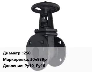 Задвижка чугунная канализационная 250 30ч939р Ру10, Ру16